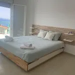 Vilă Damaki *